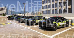 FiveM警车车包 BCSO 布莱恩郡警察局 10辆 高颜值涂装 - FiveM插件网-FiveM插件网