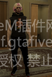 FiveM 楼兰同款衣服包完整版， 最新女角色男角色都有 - FiveM插件网-FiveM插件网