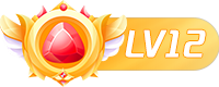 LV12 等级-LV12-FiveM插件网