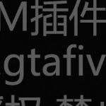 小凯头的头像-FiveM插件网